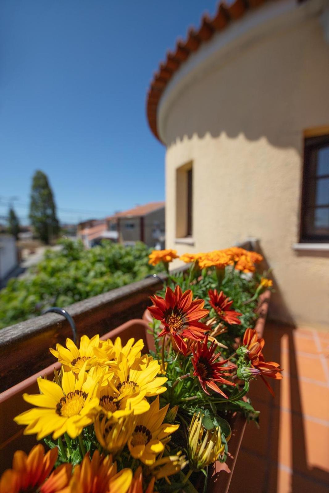 Villa Salgado Gafanha da Nazare Exterior photo